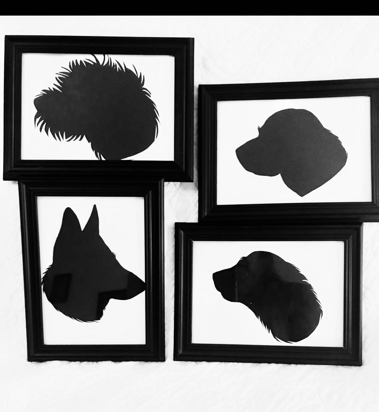 Silhoupets