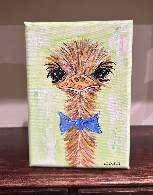 Small Boy Ostrich