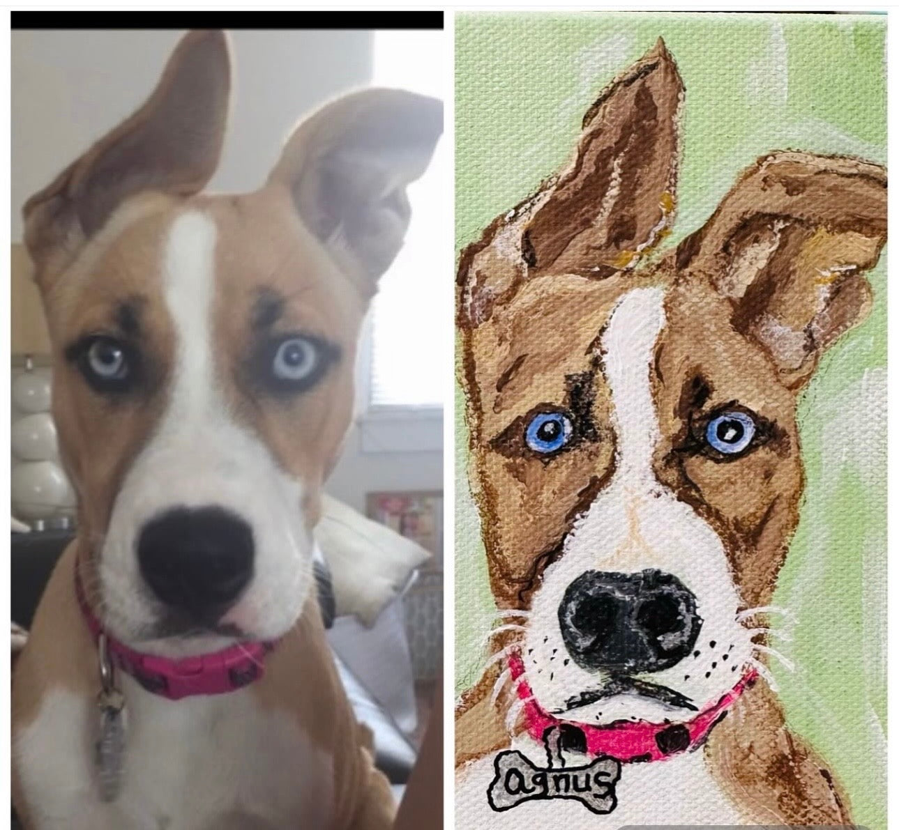 Pet Portraits 10"x10"